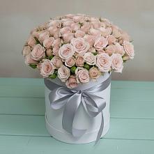 Цветочная композиция из Розы в шляпной коробке #REPLACE_PRED# Елгозино