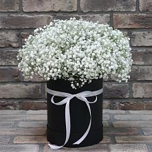 Цветочная композиция из Гипсофила в шляпной коробке в Елгозино