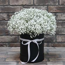 Цветочная композиция из Гипсофила в шляпной коробке в Елгозино