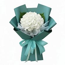 Букет цветов из:  Гортензия #REPLACE_PRED# Елгозино